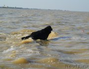 Превью фото № 163762