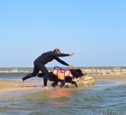 Превью фото № 163775