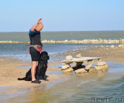 Превью фото № 163785