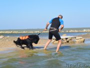 Превью фото № 163788