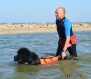 Превью фото № 163789