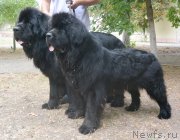 Превью фото № 163796