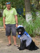 Превью фото № 163818