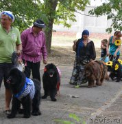 Превью фото № 163826