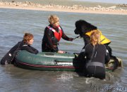 Превью фото № 163864