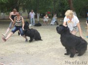 Превью фото № 163867