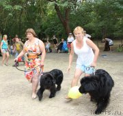 Превью фото № 163868