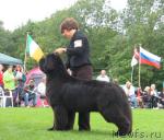 Превью фото № 16398