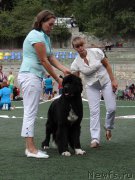 Превью фото № 163991