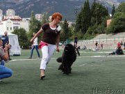 Превью фото № 163995