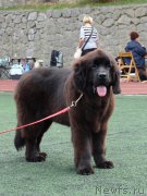 Превью фото № 163999