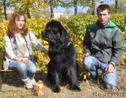 Превью фото № 164040