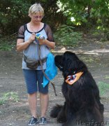 Превью фото № 164073