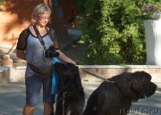 Превью фото № 164086