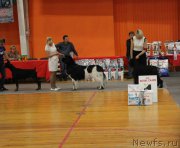 Превью фото № 164219