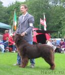 Превью фото № 16426