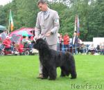 Превью фото № 16431