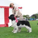 Превью фото № 16443