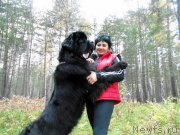 Превью фото № 164505