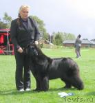 Превью фото № 16463