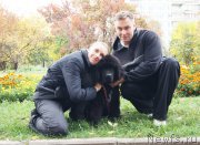 Превью фото № 164631