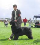 Превью фото № 16465