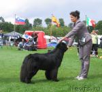 Превью фото № 16468