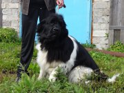 Превью фото № 164730