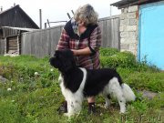 Превью фото № 164732