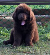 Превью фото № 164759