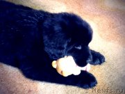 Превью фото № 164793