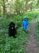 Превью фото № 164822