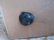 Превью фото № 164830