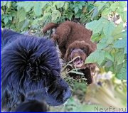 Превью фото № 164849