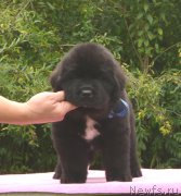 Превью фото № 164883