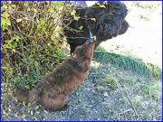 Превью фото № 164890