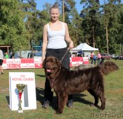 Превью фото № 164972