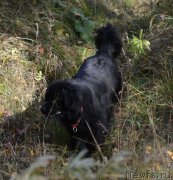 Превью фото № 165025