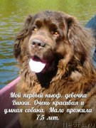 Превью фото № 165029