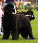 Превью фото № 16504