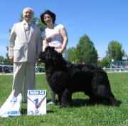 Превью фото № 165094