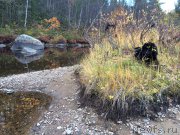 Превью фото № 165151