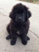 Превью фото № 165207