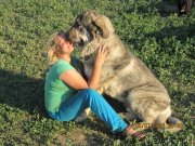 Превью фото № 165215