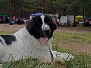 Превью фото № 165296