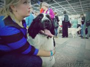 Превью фото № 165299