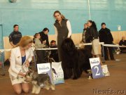 Превью фото № 165346