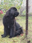 Превью фото № 165365