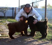 Превью фото № 165415