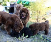 Превью фото № 165422